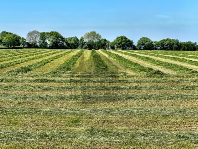 casa indipendente in vendita a Poggio Torriana