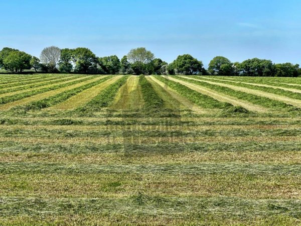 terreno edificabile in vendita a Poggio Torriana in zona Colombare