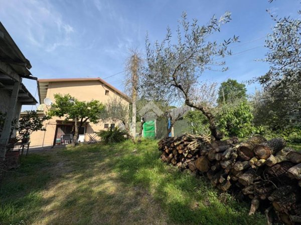 immagine annuncio 0 di 14