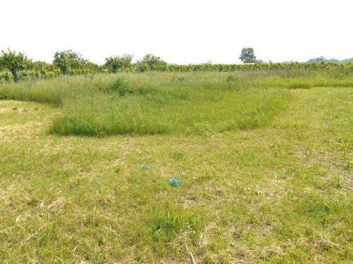 terreno edificabile in vendita a Poggio Torriana in zona Sant'Andrea
