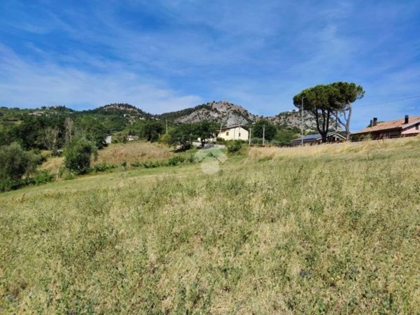 terreno agricolo in vendita a Poggio Torriana in zona Torriana