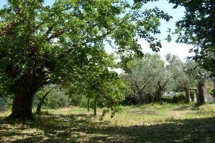 casa indipendente in vendita a Montescudo-Monte Colombo in zona Montescudo