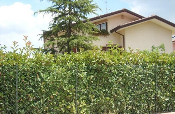 casa indipendente in vendita a Montescudo-Monte Colombo