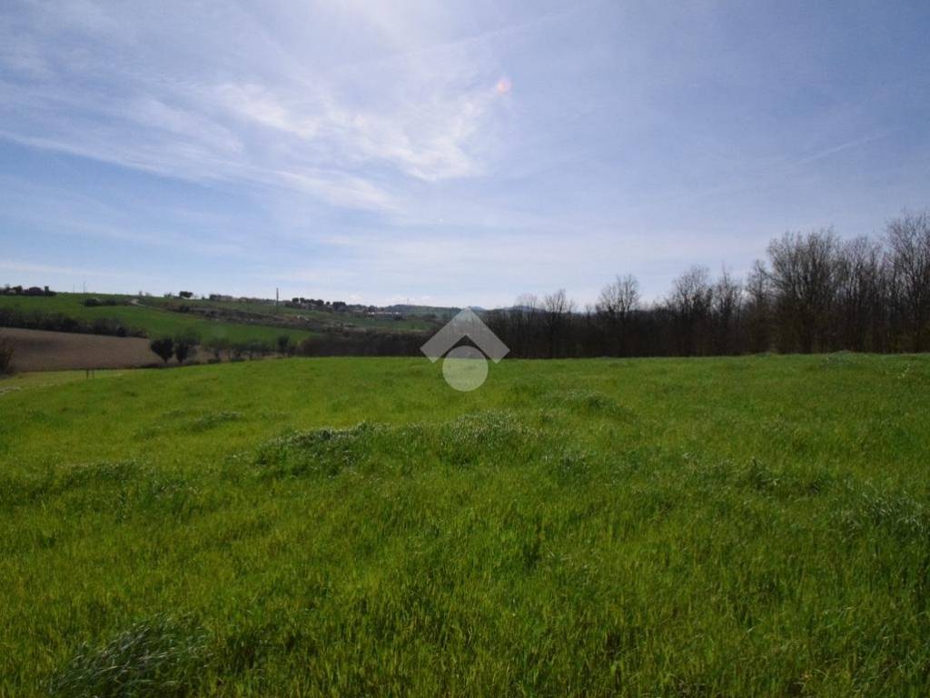terreno agricolo in vendita a Montescudo-Monte Colombo in zona Montescudo