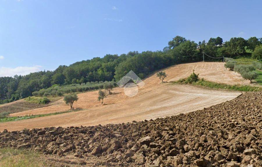 terreno agricolo in vendita a Montescudo-Monte Colombo in zona Montescudo