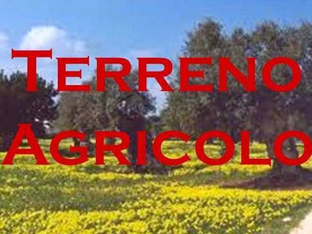terreno agricolo in vendita a Montescudo-Monte Colombo in zona Montescudo