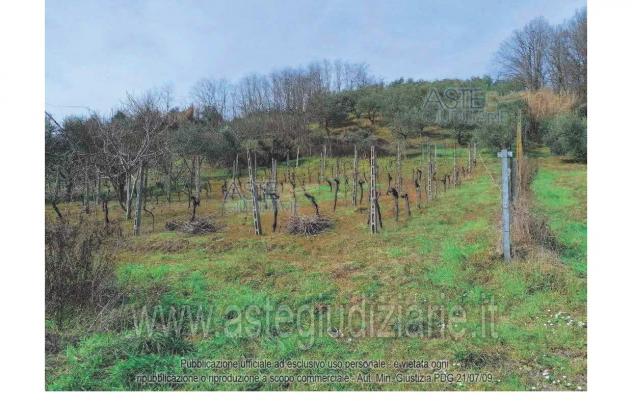 terreno edificabile in vendita a Montescudo-Monte Colombo