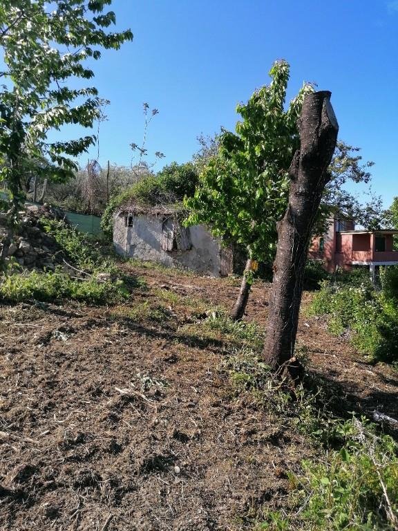 casa indipendente in vendita a Montescudo-Monte Colombo