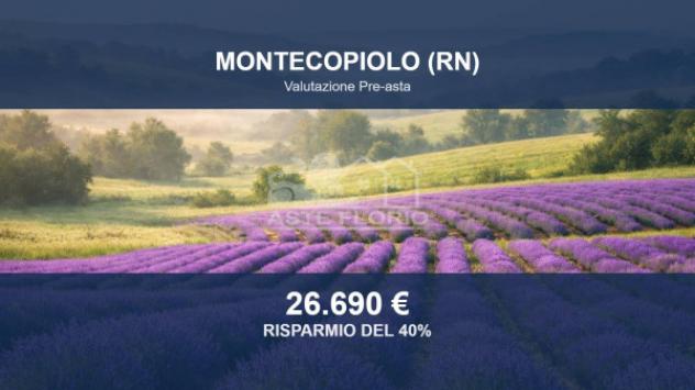 terreno agricolo in vendita a Montecopiolo
