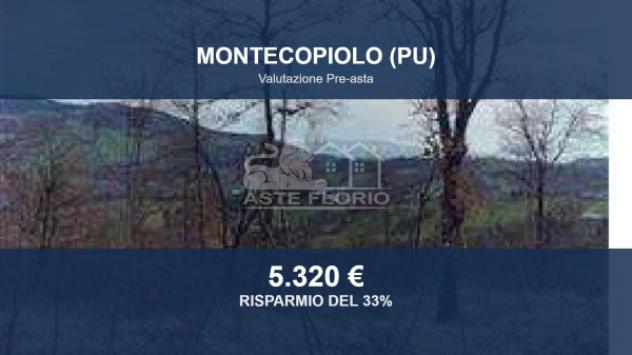 terreno agricolo in vendita a Montecopiolo