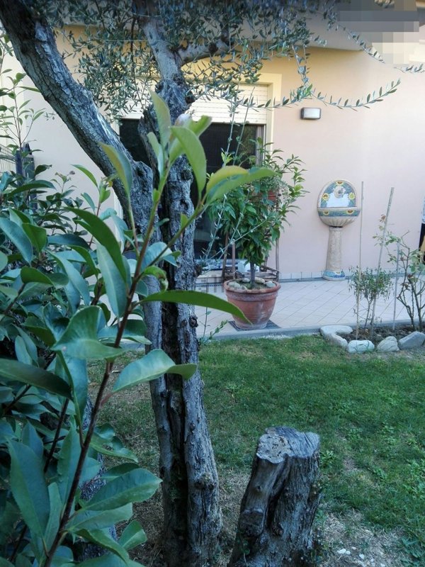 appartamento in vendita a Sassofeltrio in zona Fratte
