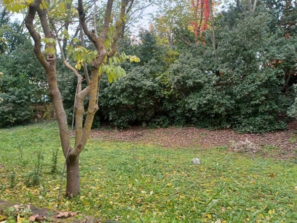 casa indipendente in vendita a Sassofeltrio in zona Fratte