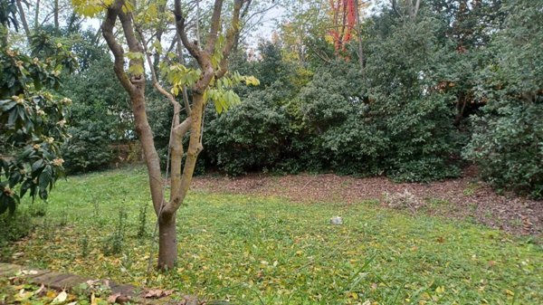 casa indipendente in vendita a Sassofeltrio in zona Fratte