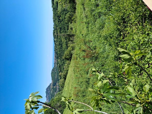 appartamento in vendita a Sassofeltrio