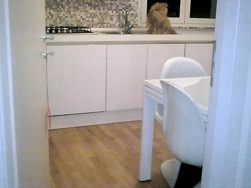 appartamento in vendita a Sassofeltrio in zona Fratte