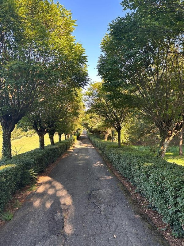 villa in vendita a Cassano Spinola