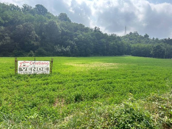 terreno agricolo in vendita a Cassano Spinola