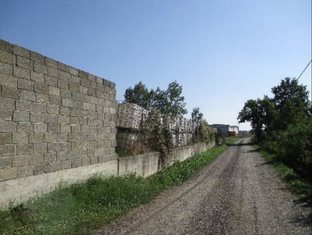 terreno agricolo in vendita ad Alluvioni Piovera