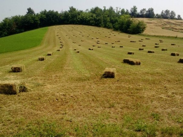 negozio in vendita a Lu e Cuccaro Monferrato
