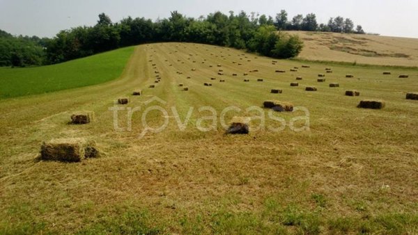 esavano in vendita a Lu e Cuccaro Monferrato