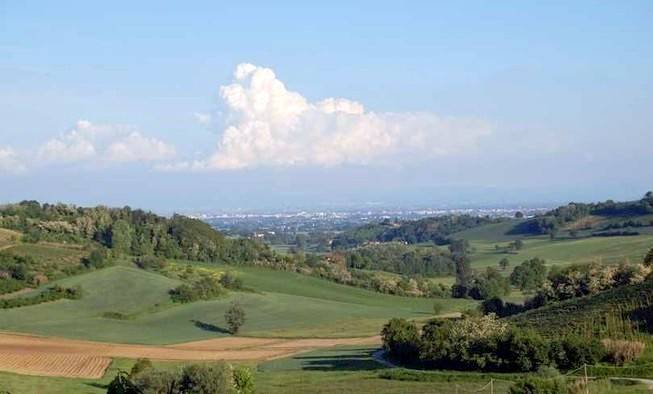 immagine annuncio 0 di 5