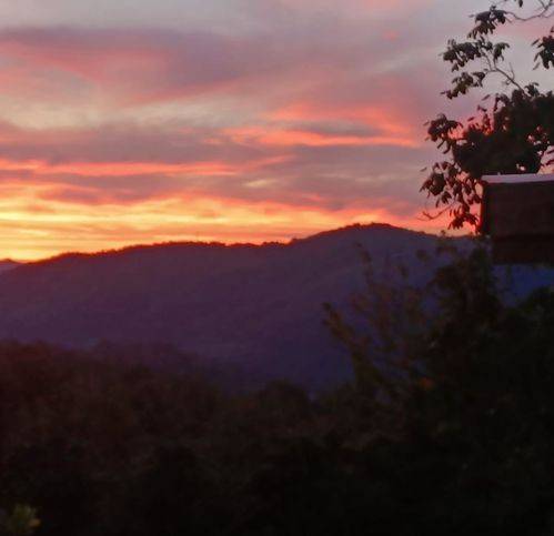 casa indipendente in vendita a Cantagallo