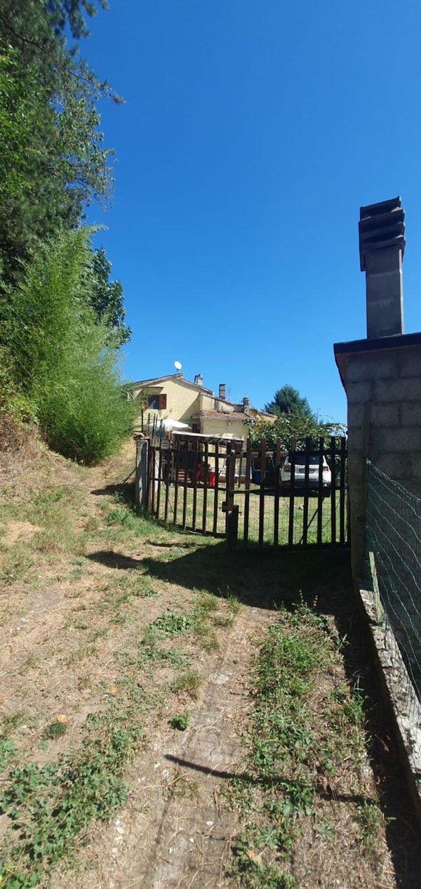 appartamento in vendita a Cantagallo in zona Luicciana