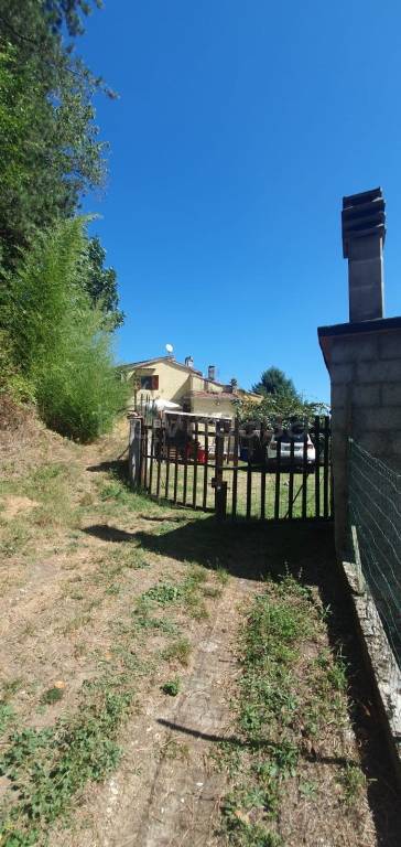 casa indipendente in vendita a Cantagallo in zona Luicciana