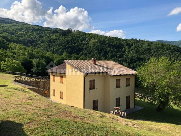 esavano in vendita a Cantagallo in zona Gavigno