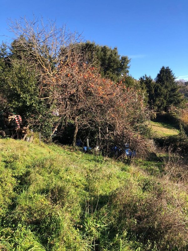 appartamento in vendita a Cantagallo