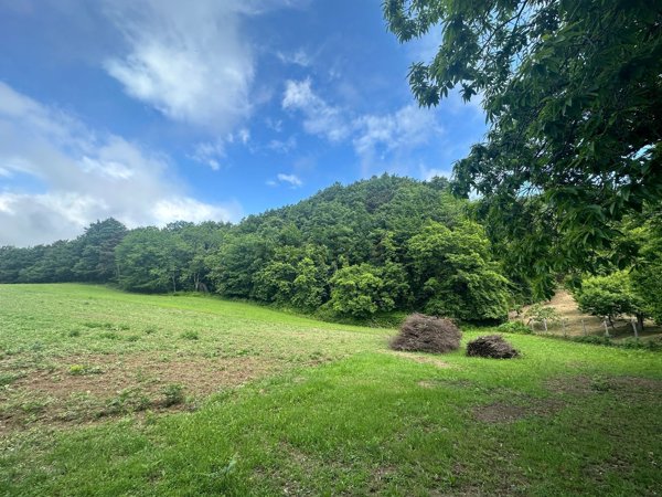 casale in vendita a Cantagallo in zona Migliana