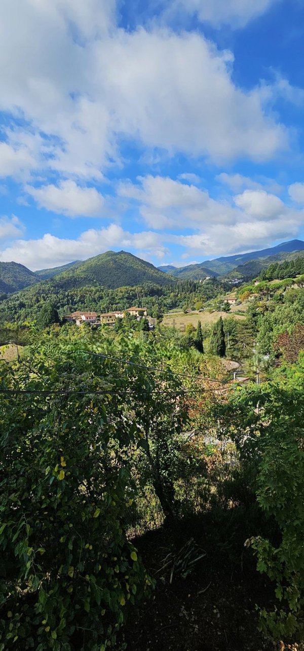 casa indipendente in vendita a Cantagallo