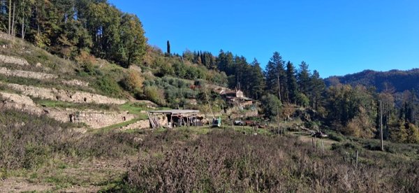 esavano in vendita a Cantagallo in zona Carmignanello