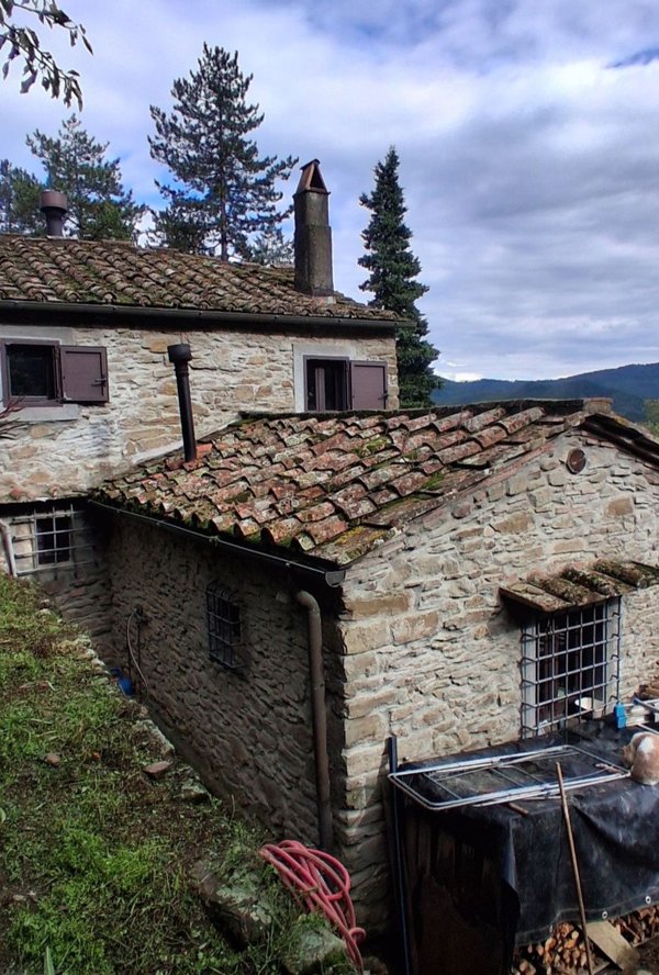 esavano in vendita a Cantagallo in zona Carmignanello