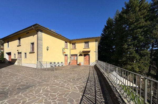 casa indipendente in vendita a Cantagallo in zona Luicciana
