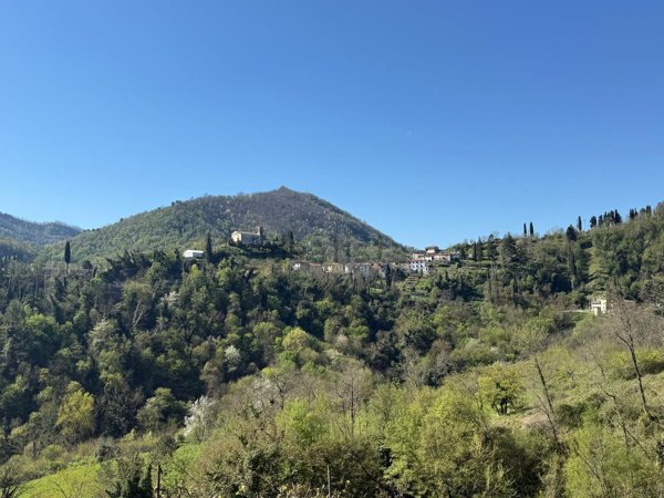 casa indipendente in vendita a Cantagallo in zona Luicciana