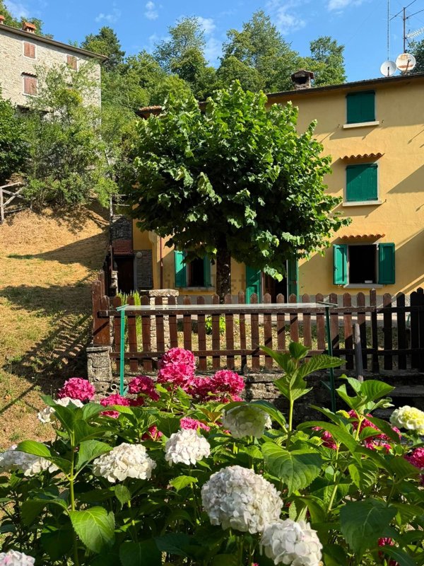 casa indipendente in vendita a Cantagallo in zona Gavigno