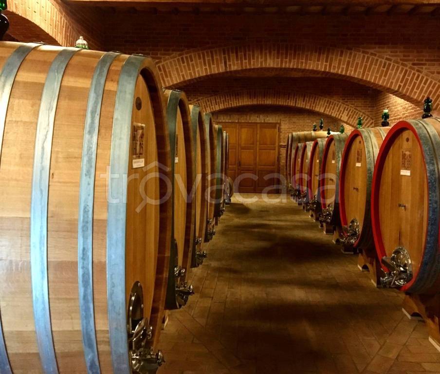casa indipendente in vendita a Carmignano