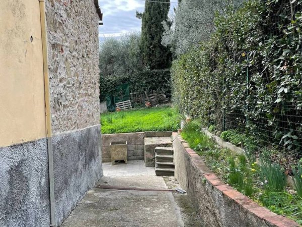 esavano in vendita a Carmignano