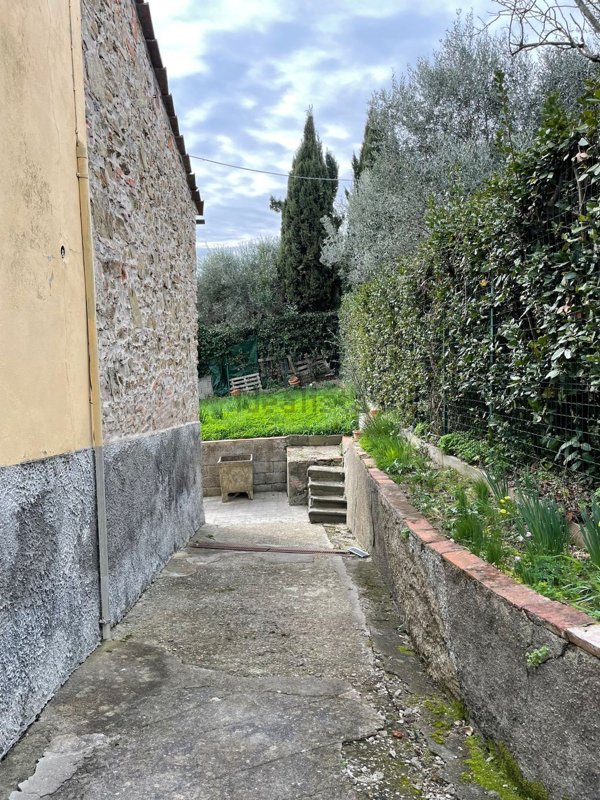 esavano in vendita a Carmignano
