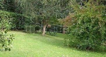 casa indipendente in vendita a Carmignano