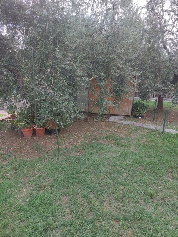 casa indipendente in vendita a Carmignano
