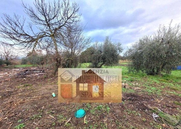 appartamento in vendita a Carmignano