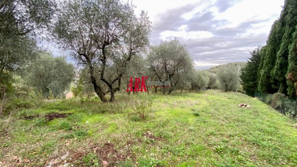appartamento in vendita a Carmignano