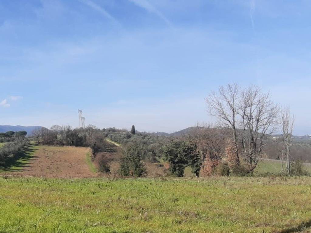 casa indipendente in vendita a Carmignano