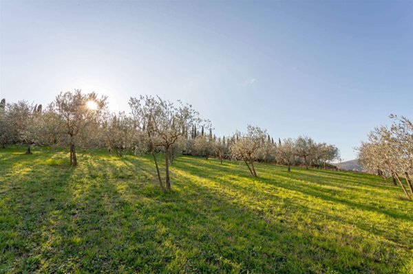 terreno agricolo in vendita a Carmignano
