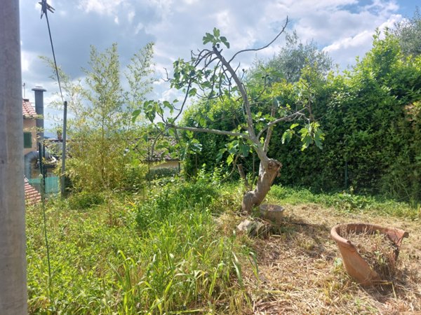 casa indipendente in vendita a Carmignano