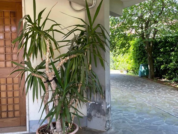 appartamento in vendita a Carmignano