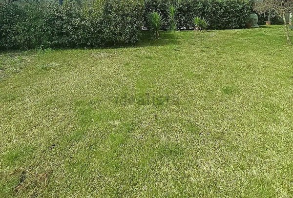 casa indipendente in vendita a Carmignano