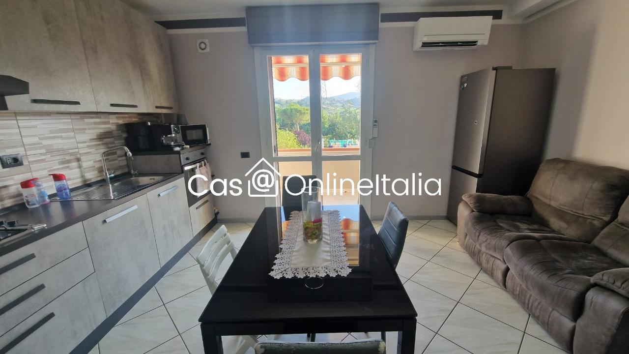 appartamento in vendita a Carmignano